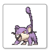 Rattata